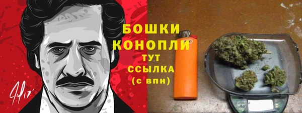 первитин Нягань