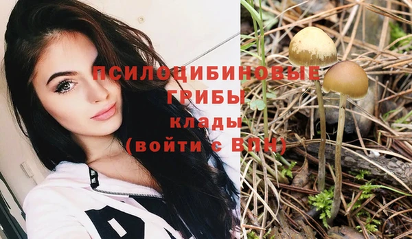 первитин Нягань