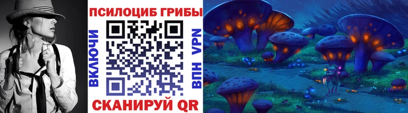 Галлюциногенные грибы MAGIC MUSHROOMS  мега как зайти  Серафимович 